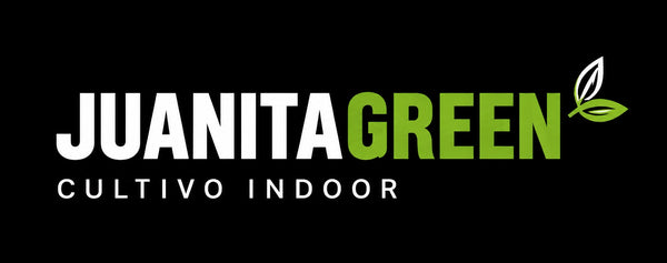 JUANITAGREEN