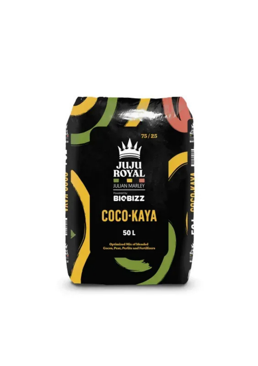 Coco kaya 50l juju royal by biobizz