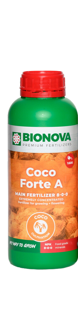 Coco forte a