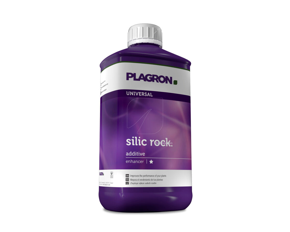 Silic rock