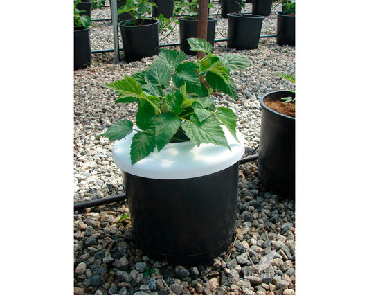 Round dripcap 10" (25 cm)