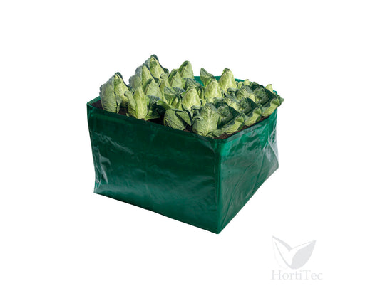 Bolsa cultivo vegetales variados
