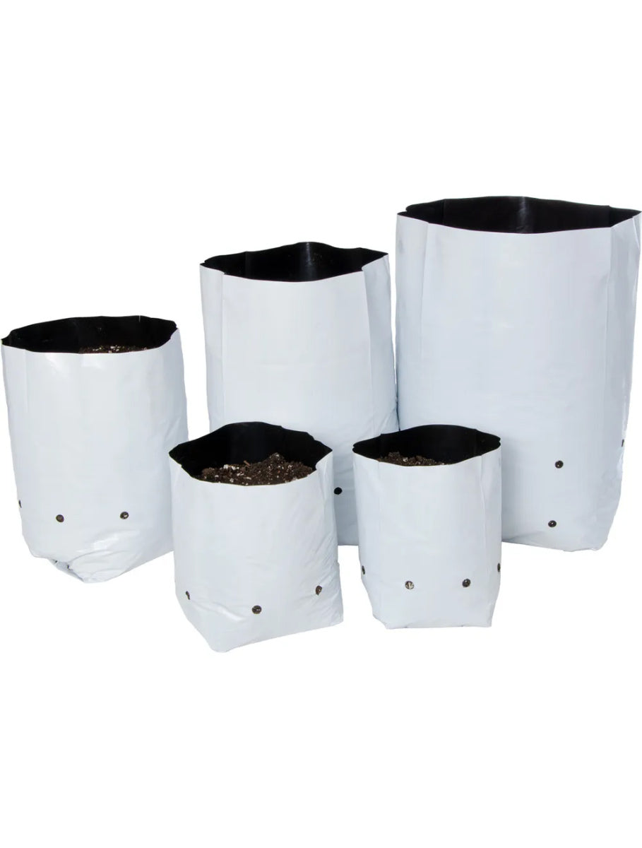 Bolsa de cultivo blanca (50uds)
