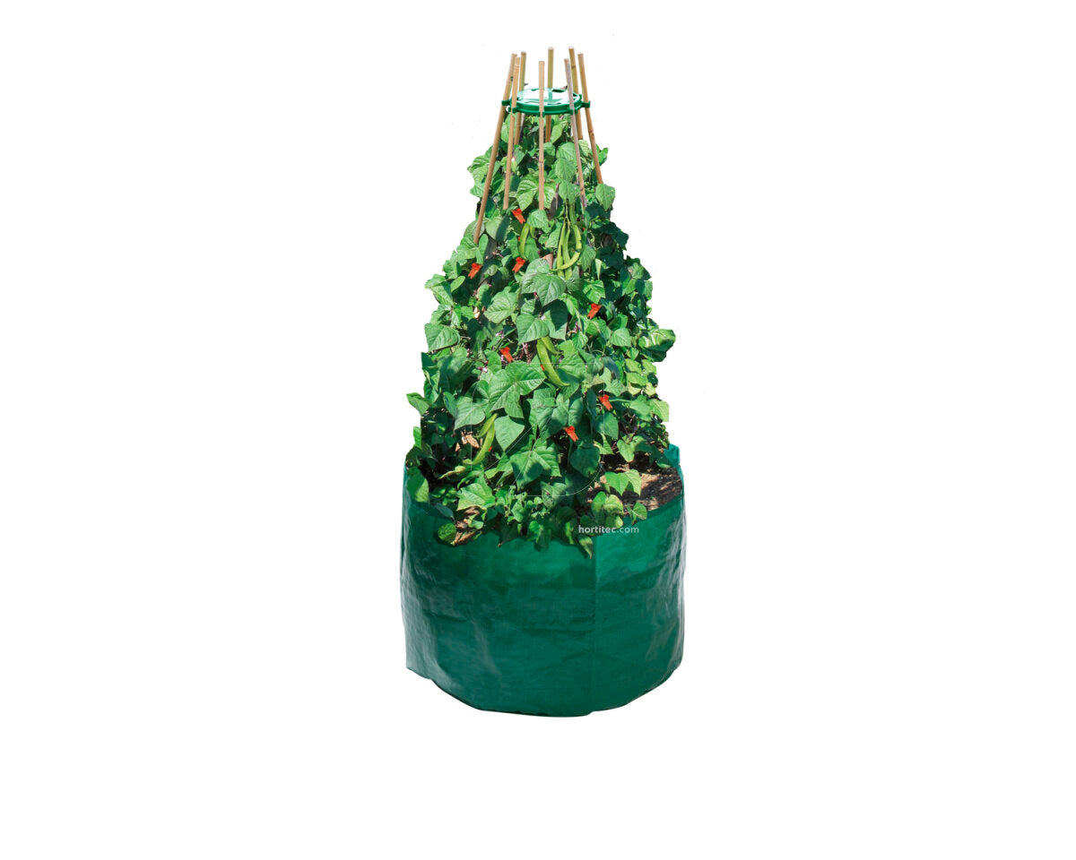 Bolsa cultivo alubia y guisante