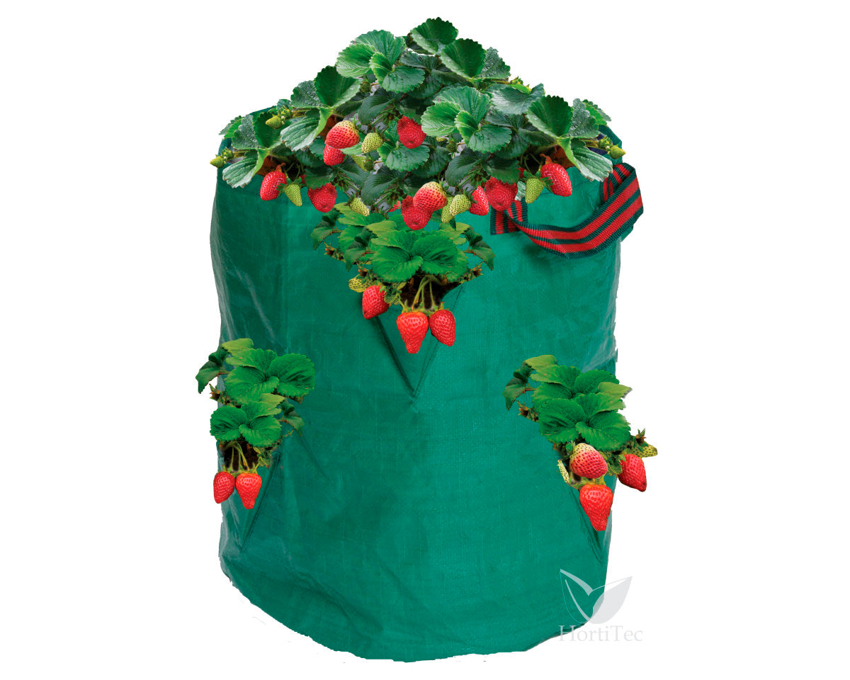 Bolsa  cultivo fresa y hierba