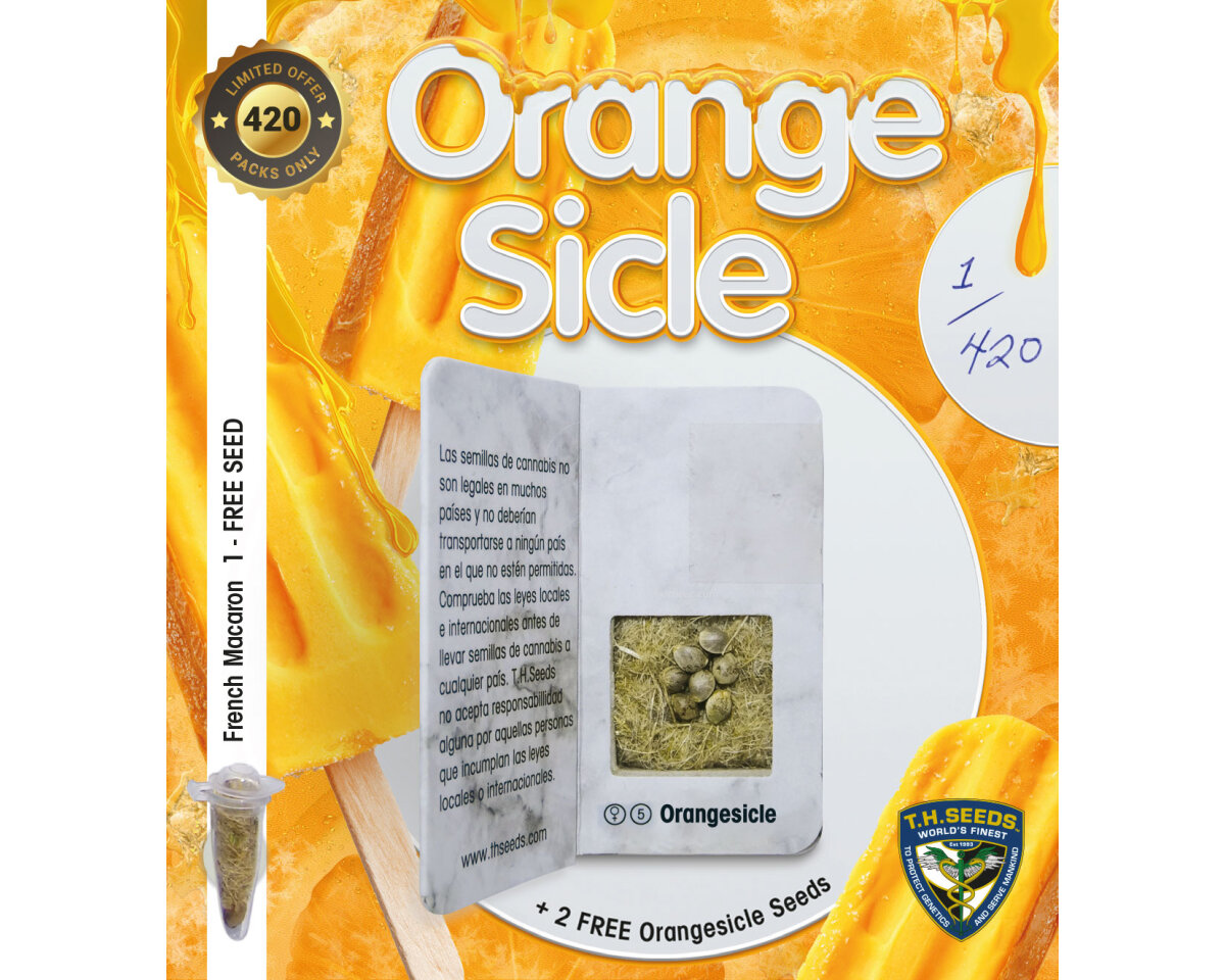 Orangesicle edición limitada (5+2+1) 100%