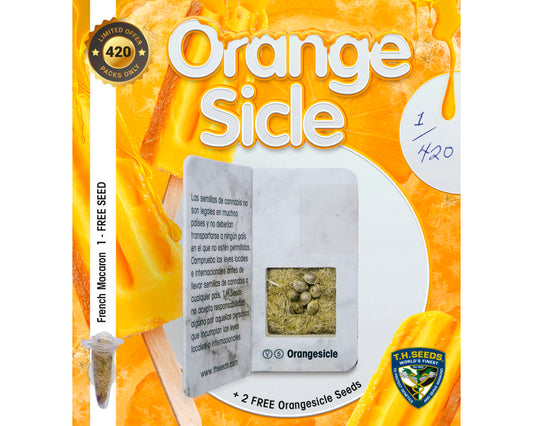 Orangesicle edición limitada (5+2+1) 100%