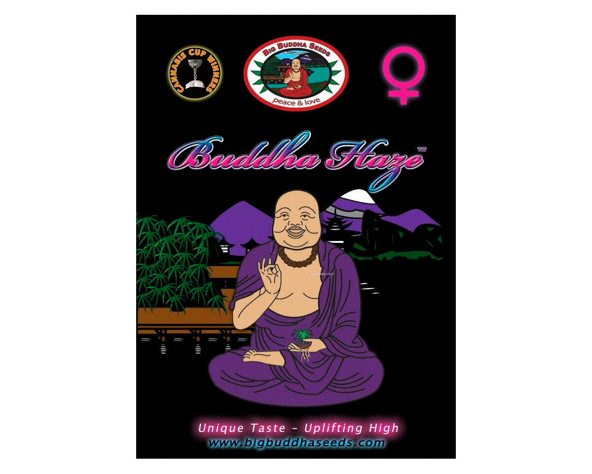 Buddha haze (5)