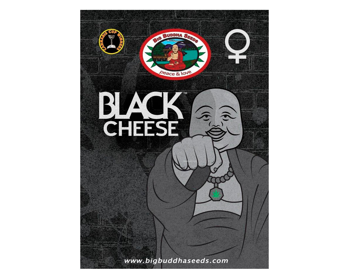 Black cheese(TM) (5) 100%