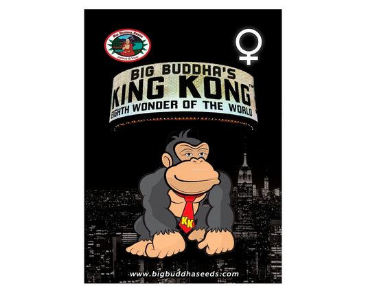 King kong (5)