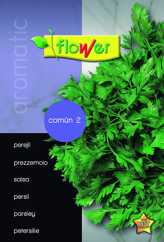 Perejil común 2