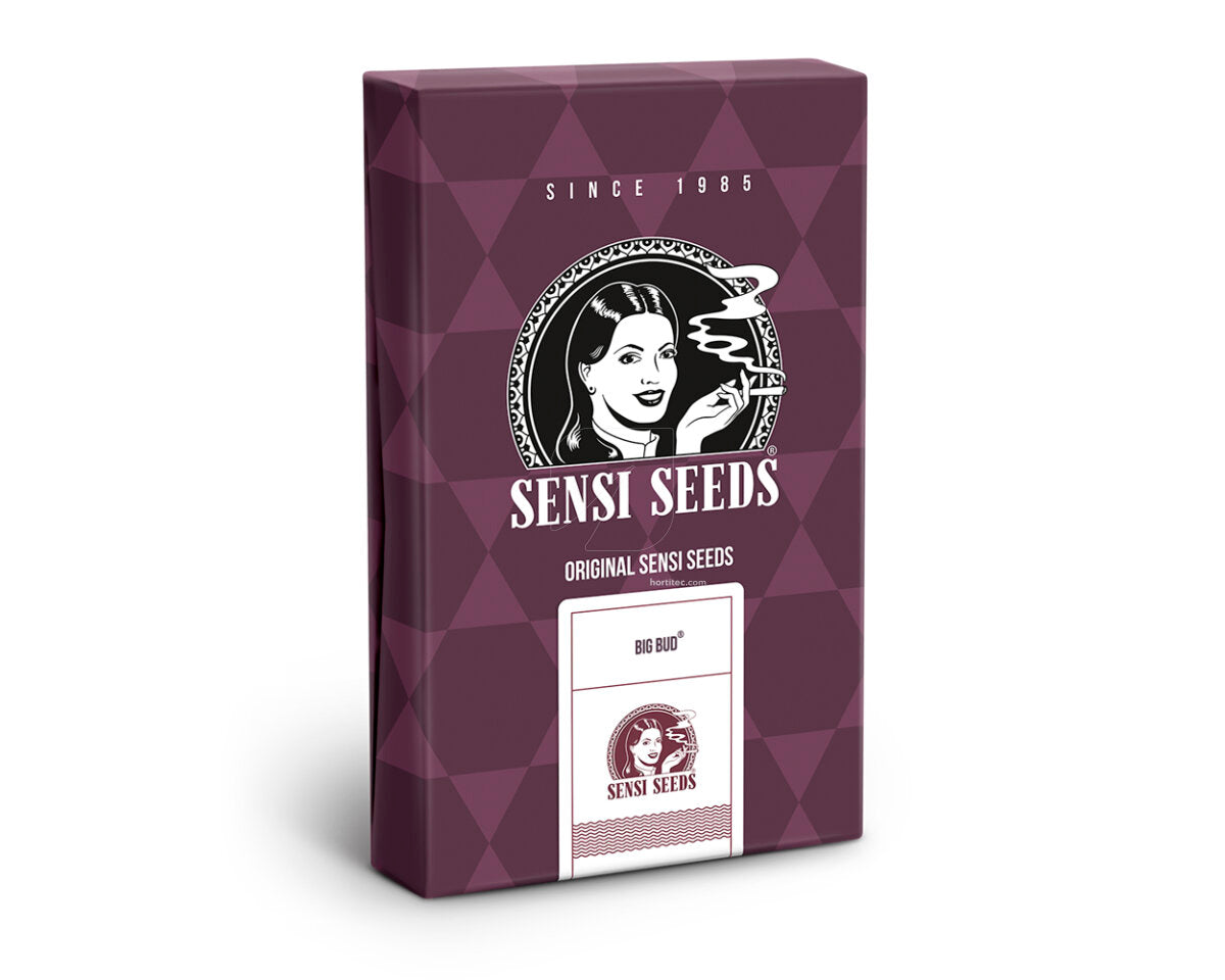 Big bud 100% sensi seeds