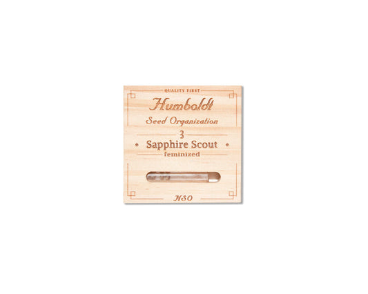 Sapphire scout (3)