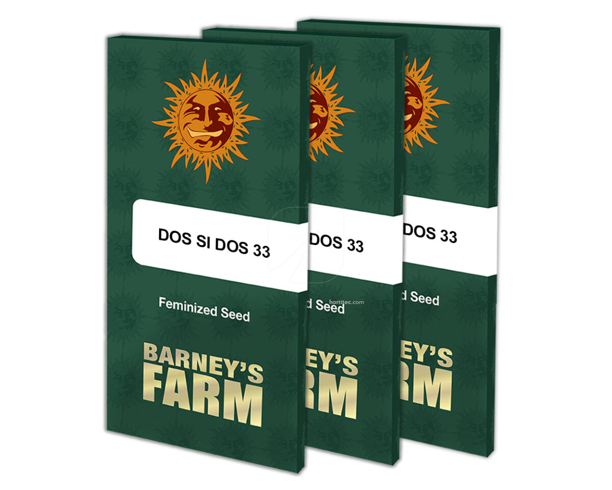 Dos si dos 33
