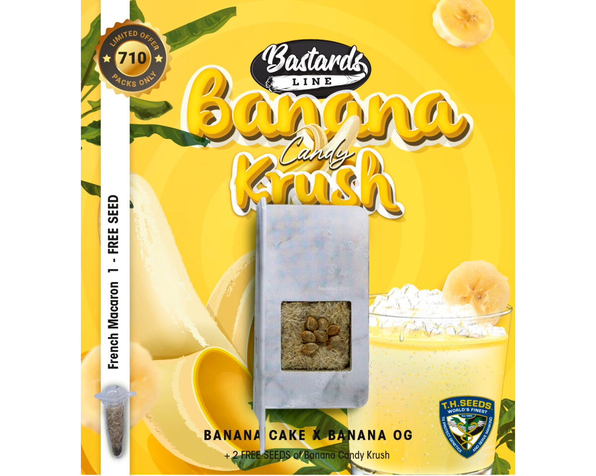 Banana candy krush ed. limitada