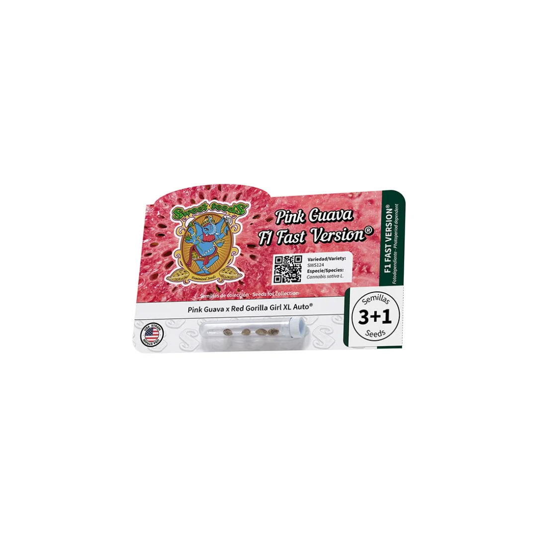Pink guava f1 fast version sweet seeds