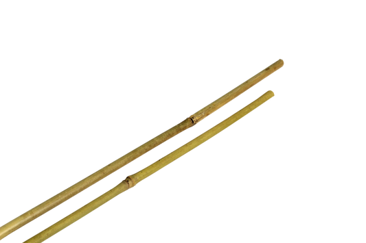 Tutor bambu 120 cm 10/12 mm