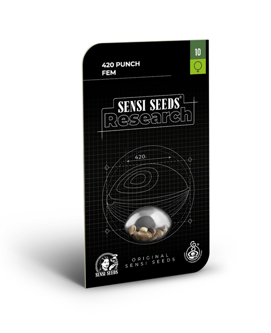 420 punch feminizada (1) sensi seeds