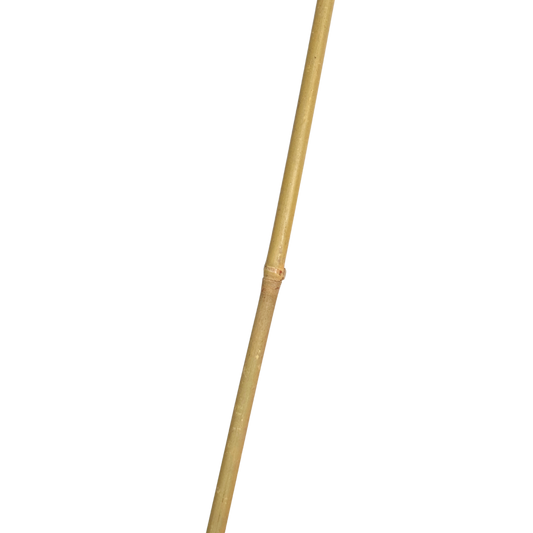 Tutor bambu 1,50 m (500 u) 8/10