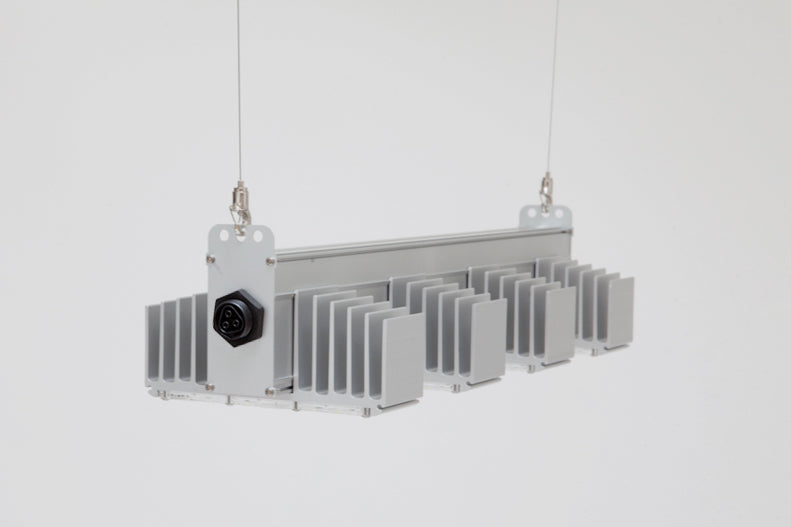 Led q4w sanlight