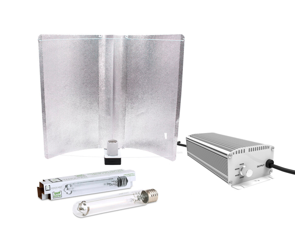 Kit electrónico 600w vanguard micropunto xl