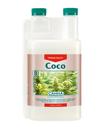 Coco b