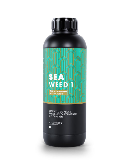 Sea weed 1