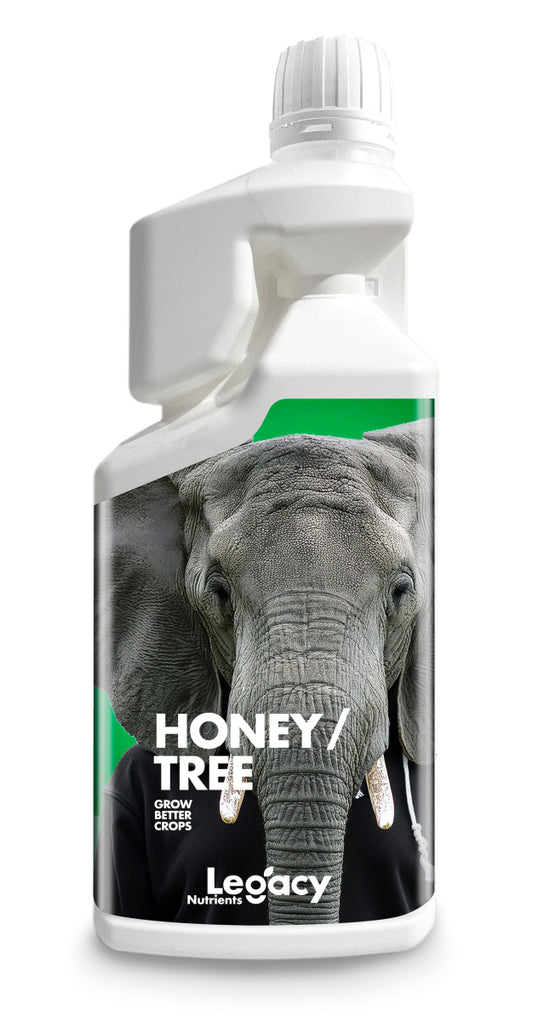 Honey tree legacy