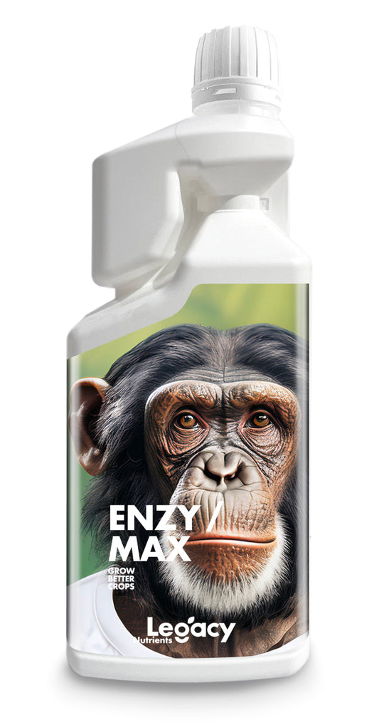 Enzymax legacy