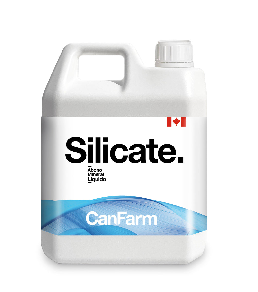Silicate 25% can farm