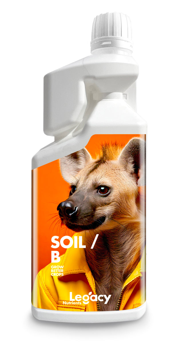 Soil b legacy