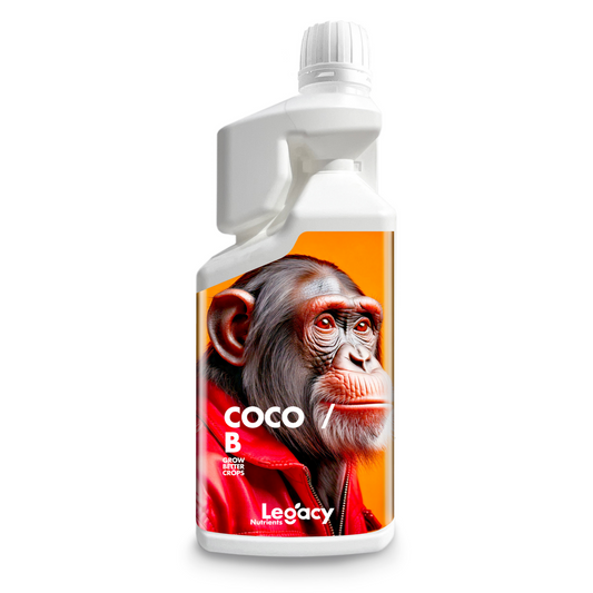 Coco b legacy