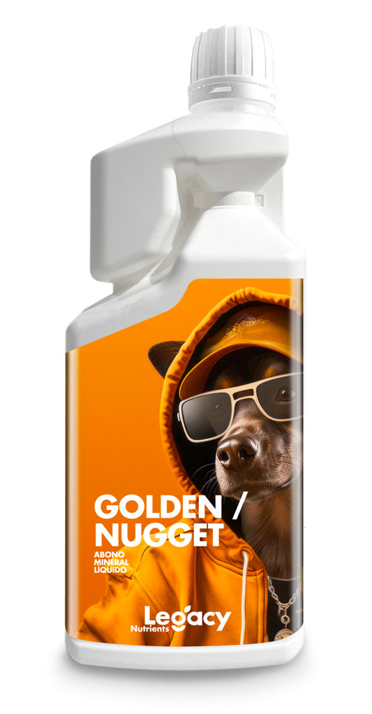 Golden nugget legacy