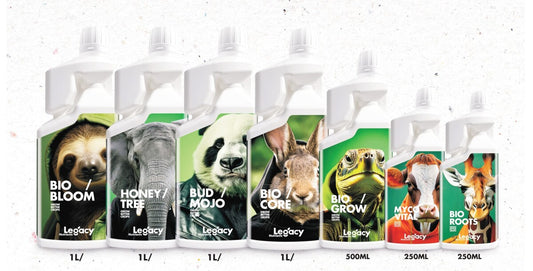 Starter kit vegano legacy