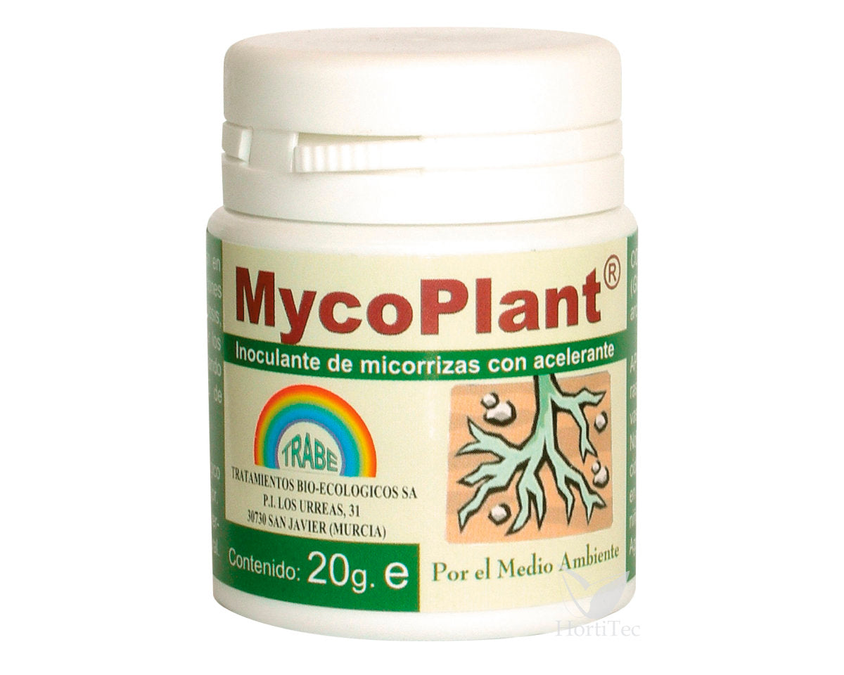 Mycoplant