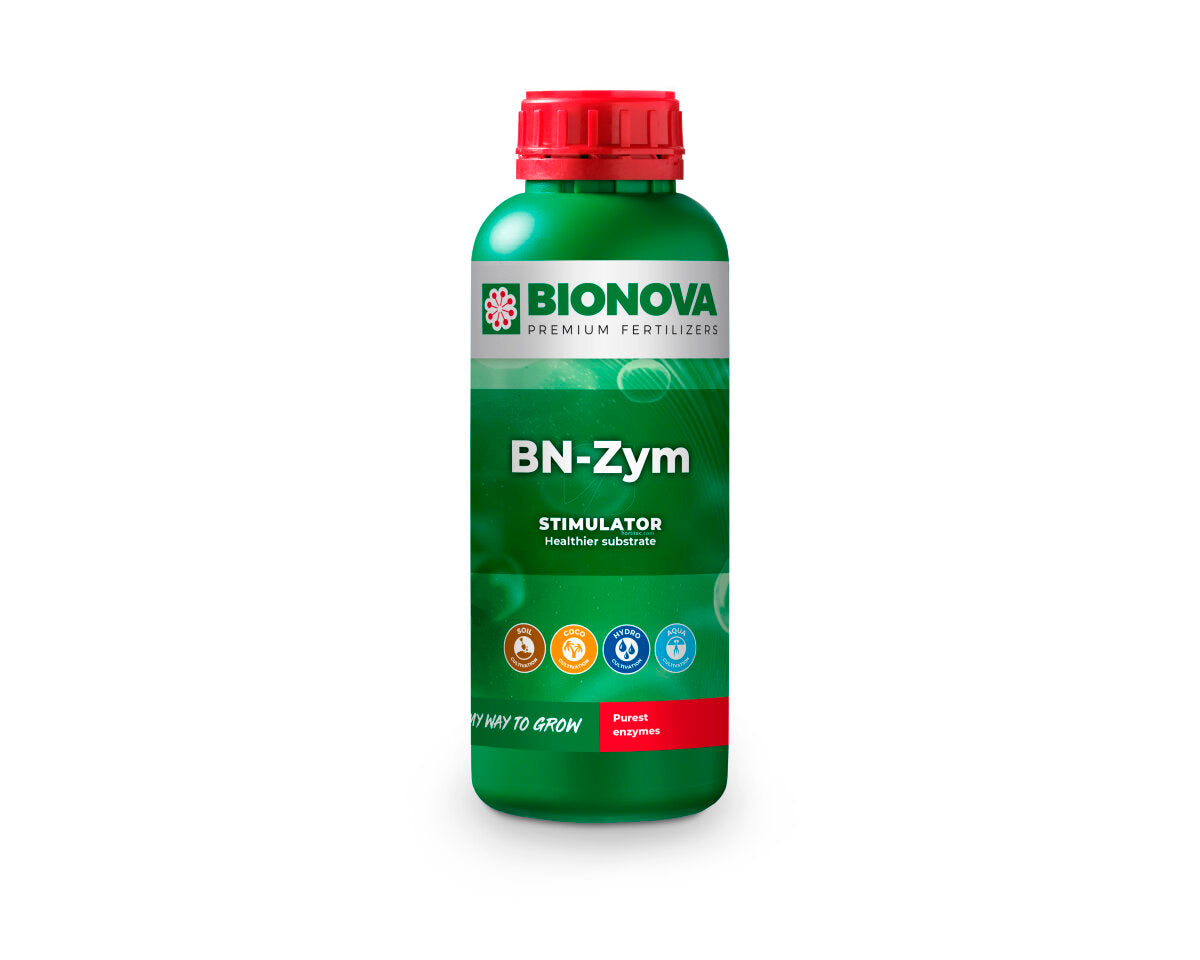 Bn-zym
