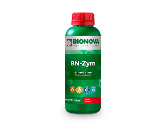 Bn-zym