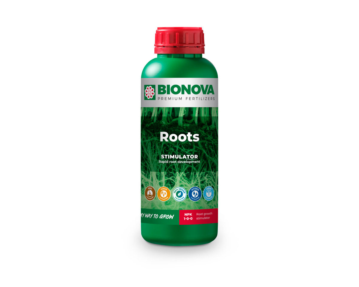 Bn roots