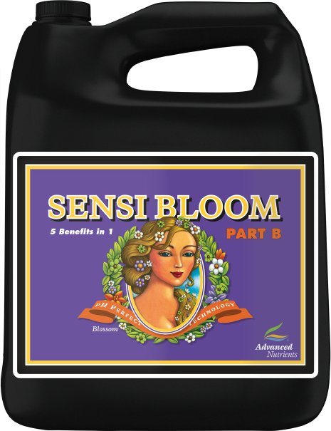 Ph perfect sensi bloom b 4l