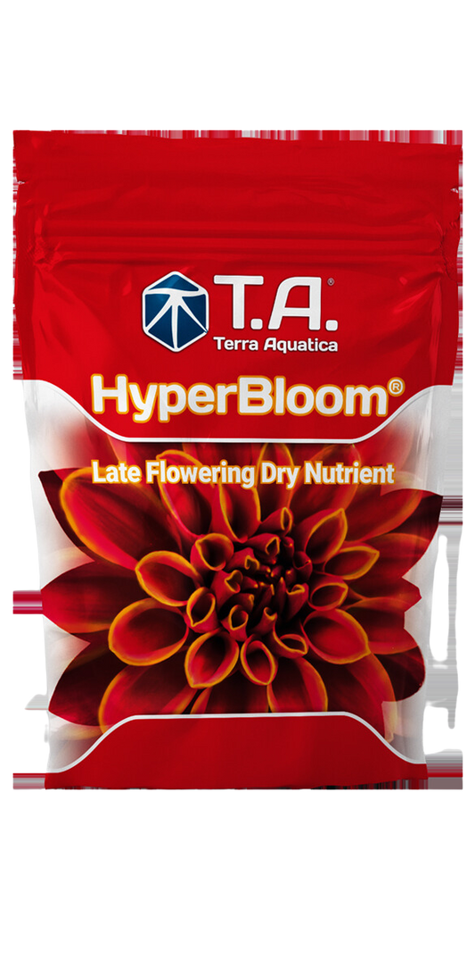 Hyperbloom