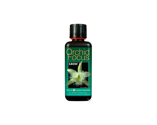 Orchid focus grow 300 ml (12u)