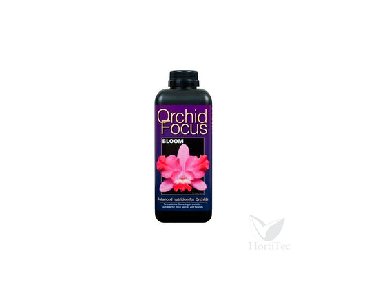 Orchid focus bloom 300 ml (12u)