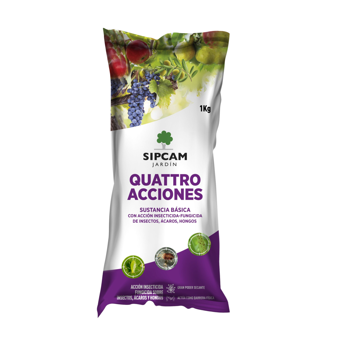 Quattro acciones