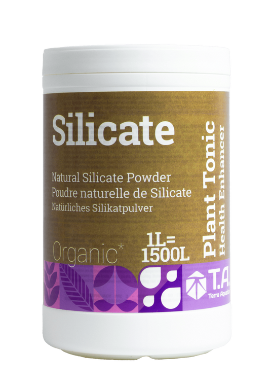 Silicate (mineral magic)
