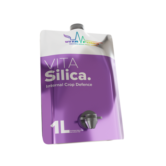 Vitasilica vitaponix