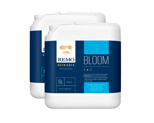 Bloom