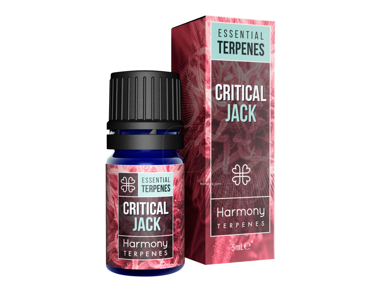Terpeno critical jack