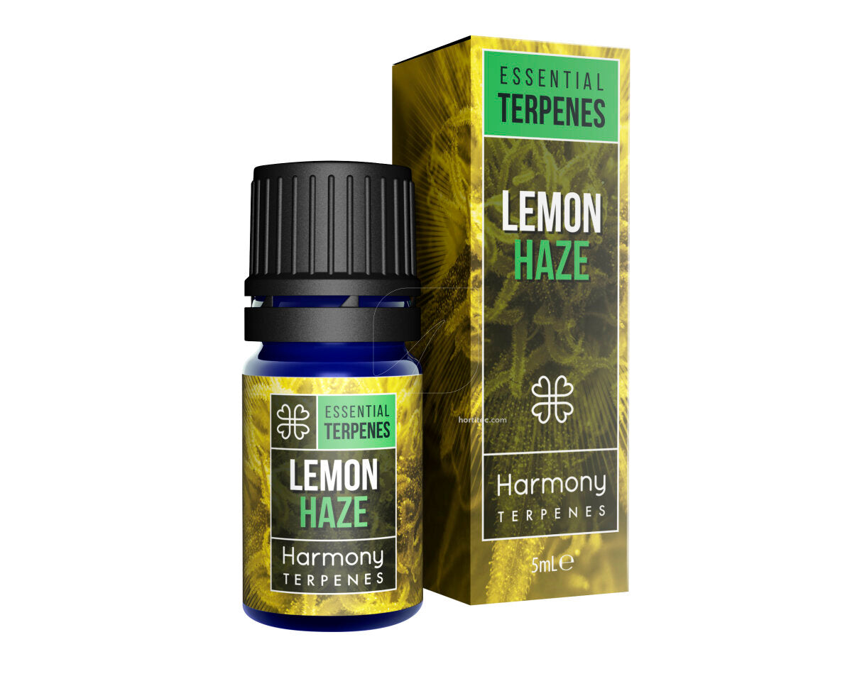 Terpeno lemon haze