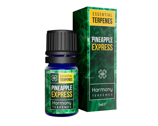 Terpeno pineapple express