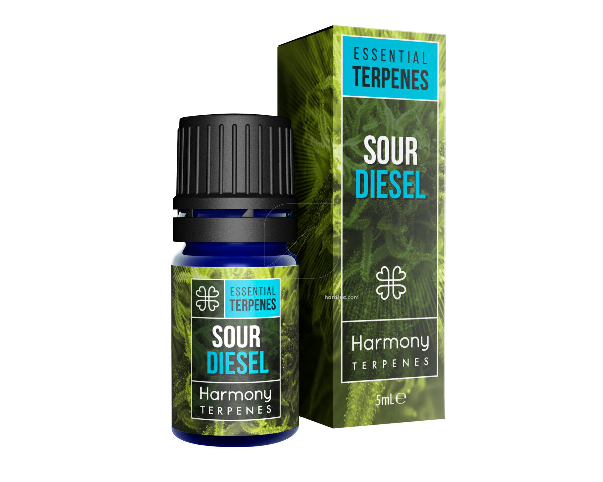 Terpeno sour diesel